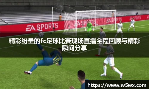 新足球体育直播
