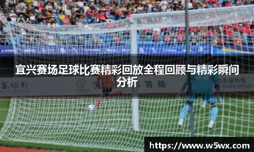 新足球体育直播