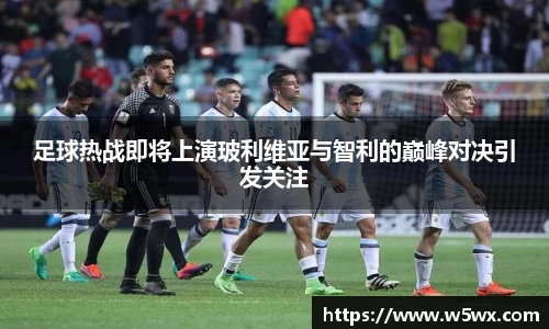 新足球体育直播