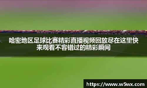 新足球体育直播