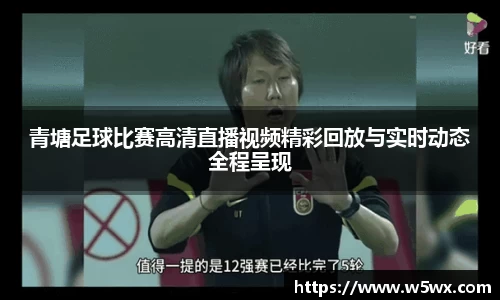 新足球体育直播