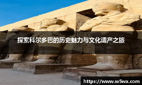 新足球体育直播