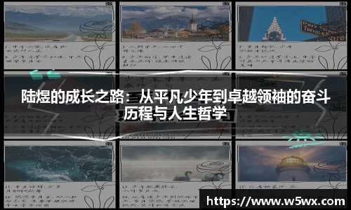新足球体育直播