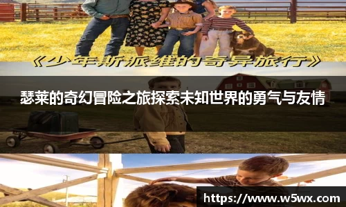 新足球体育直播