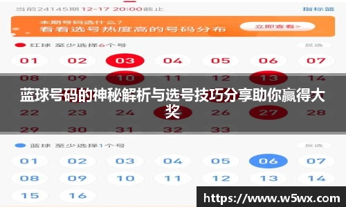 蓝球号码的神秘解析与选号技巧分享助你赢得大奖