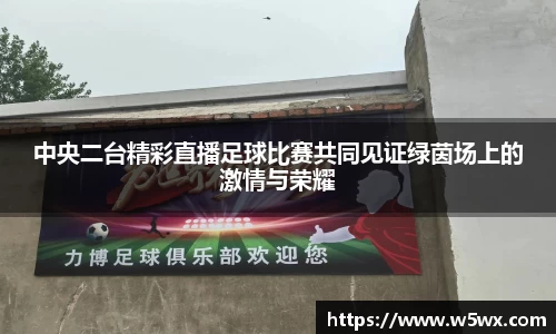 中央二台精彩直播足球比赛共同见证绿茵场上的激情与荣耀
