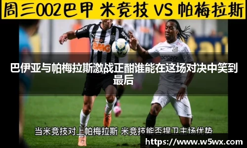 新足球体育直播