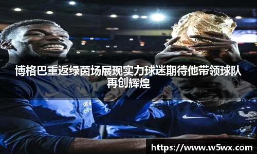 新足球直播在线观看