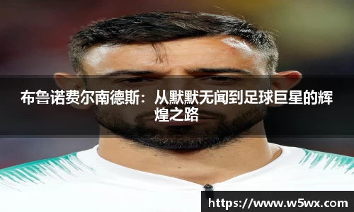 新足球体育直播